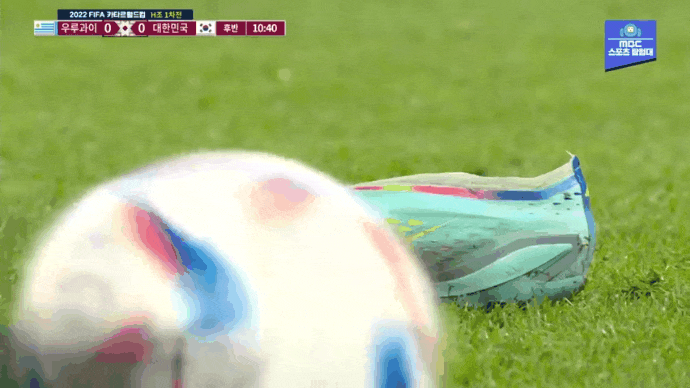 2022-카타르-월드컵-당시-선발-라인업-6-이미지