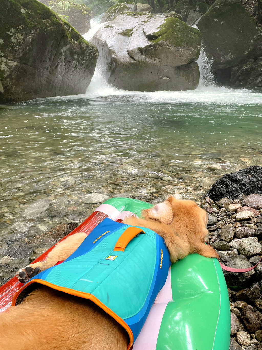 울강쥐-등산천재야-(+-산-추가!)-16-이미지