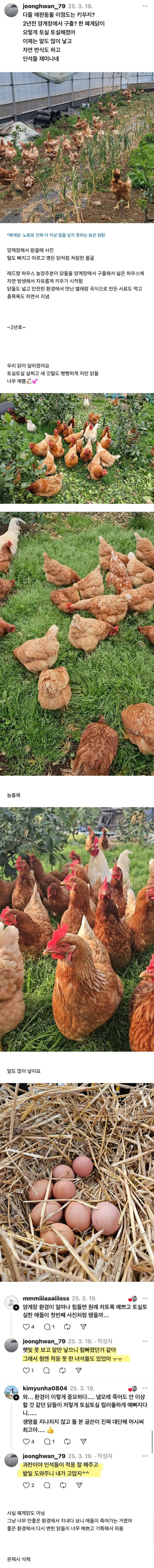 닭-사다가-2년-묵힌-결과-0-이미지