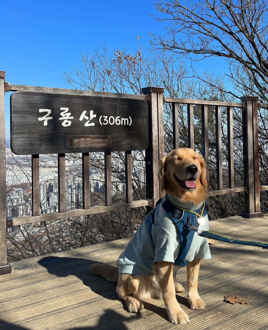 울강쥐-등산천재야-(+-산-추가!)-5-이미지