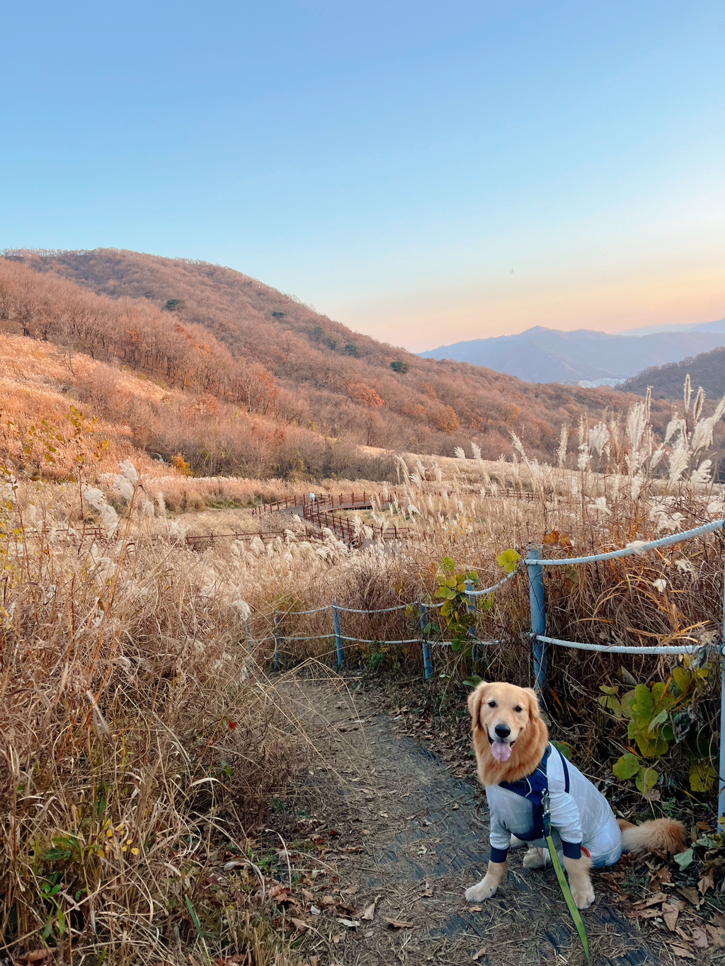 울강쥐-등산천재야-(+-산-추가!)-18-이미지