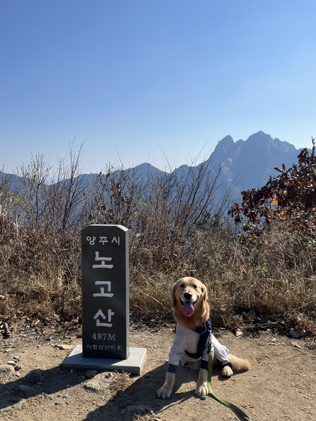 울강쥐-등산천재야-(+-산-추가!)-19-이미지