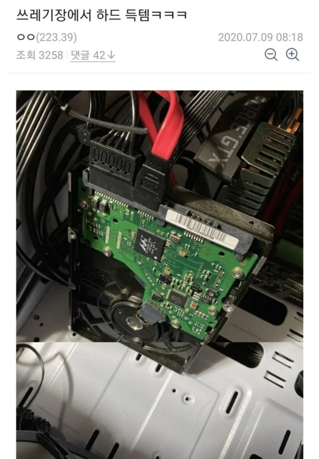 성스러운-직박구리-폴더-1-이미지