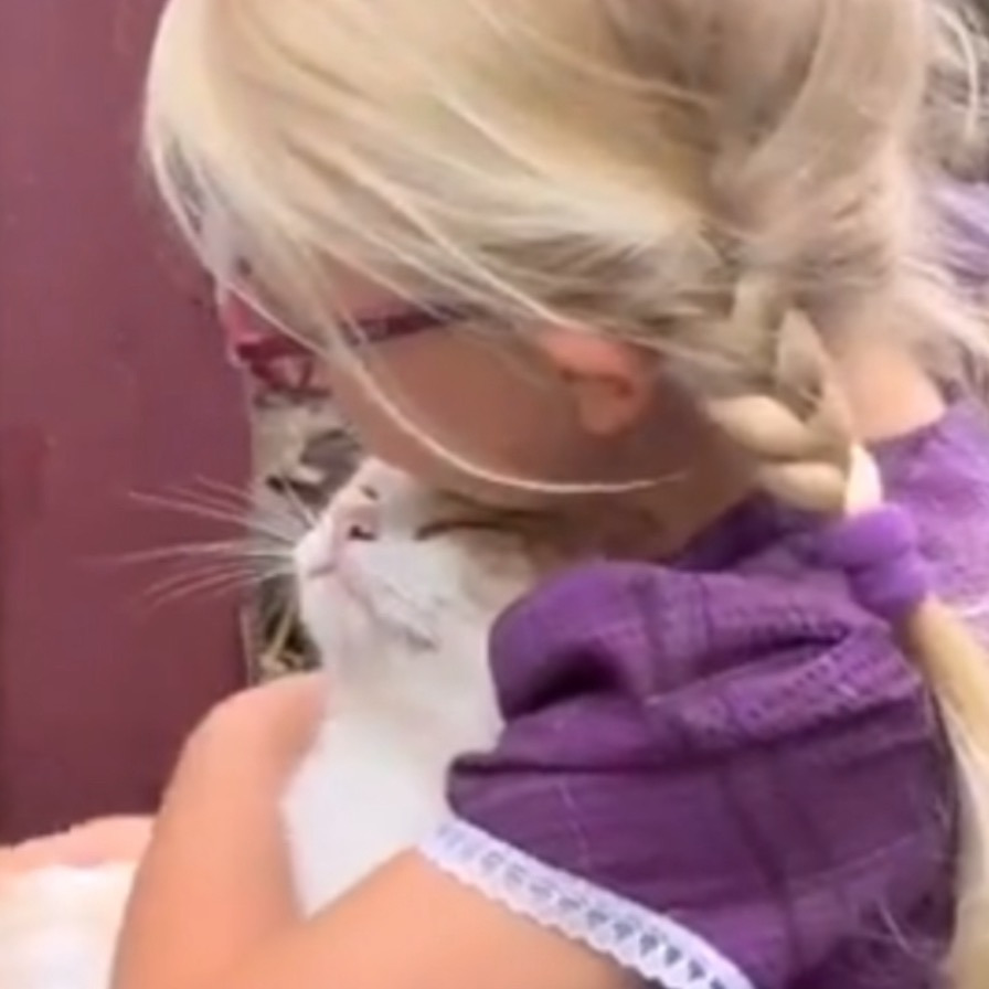 새끼-보여주러온-길냥이-0-이미지