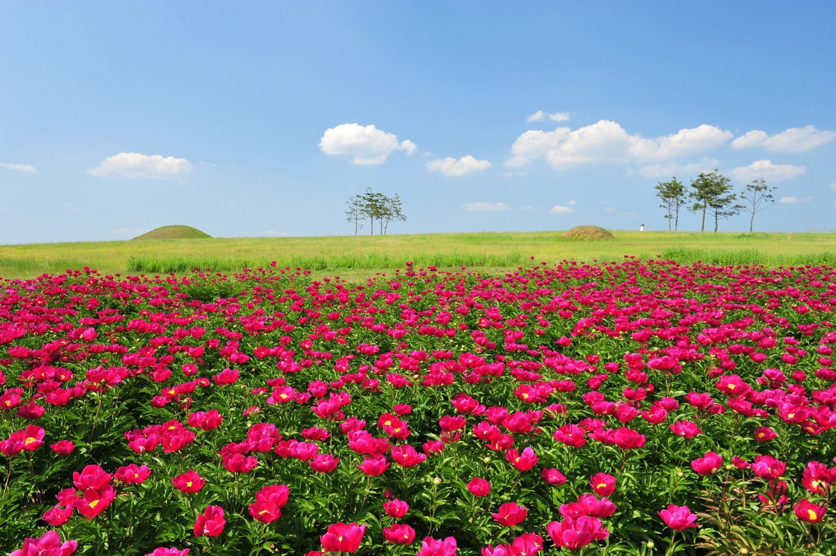 이-계정-운영자님은-진짜-직업-잘-고르신-거-같음-한국에-이런-데가-있다고-짤을-주머니에서-마구-꺼냄-47-이미지