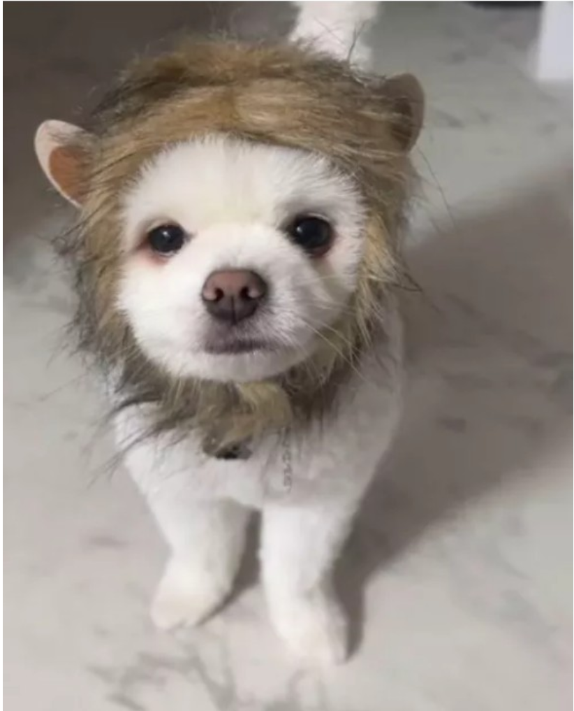 다이소-사기-당한-사람-1-이미지