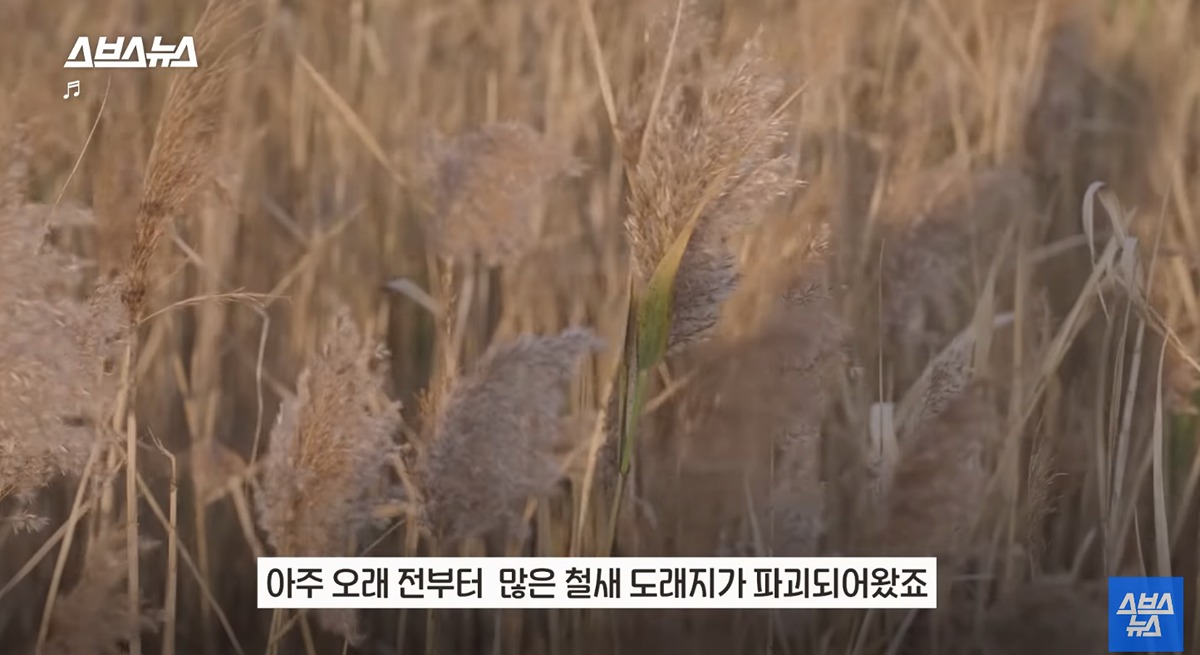 좋은-일을-해서-축복-받은-듯한-도시.jpg-0-이미지