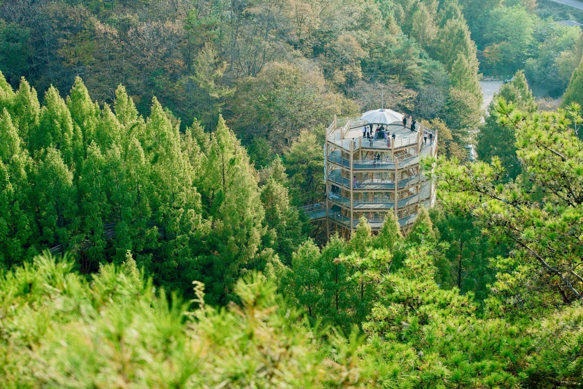 이-계정-운영자님은-진짜-직업-잘-고르신-거-같음-한국에-이런-데가-있다고-짤을-주머니에서-마구-꺼냄-42-이미지