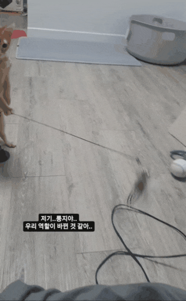 고양이가-친절하고-집사가-좋아해요-0-이미지