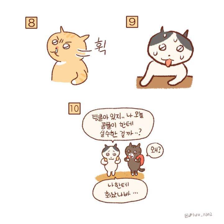 귀엽고-힐링되고-눈물나는-고양이만화-32-이미지