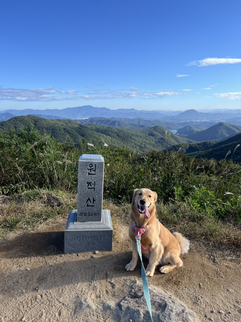 울강쥐-등산천재야-(+-산-추가!)-17-이미지