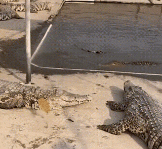 서울-지옥철-경험했는데,-서울-사람들-ㄹㅇ독기-가득하네-6-이미지