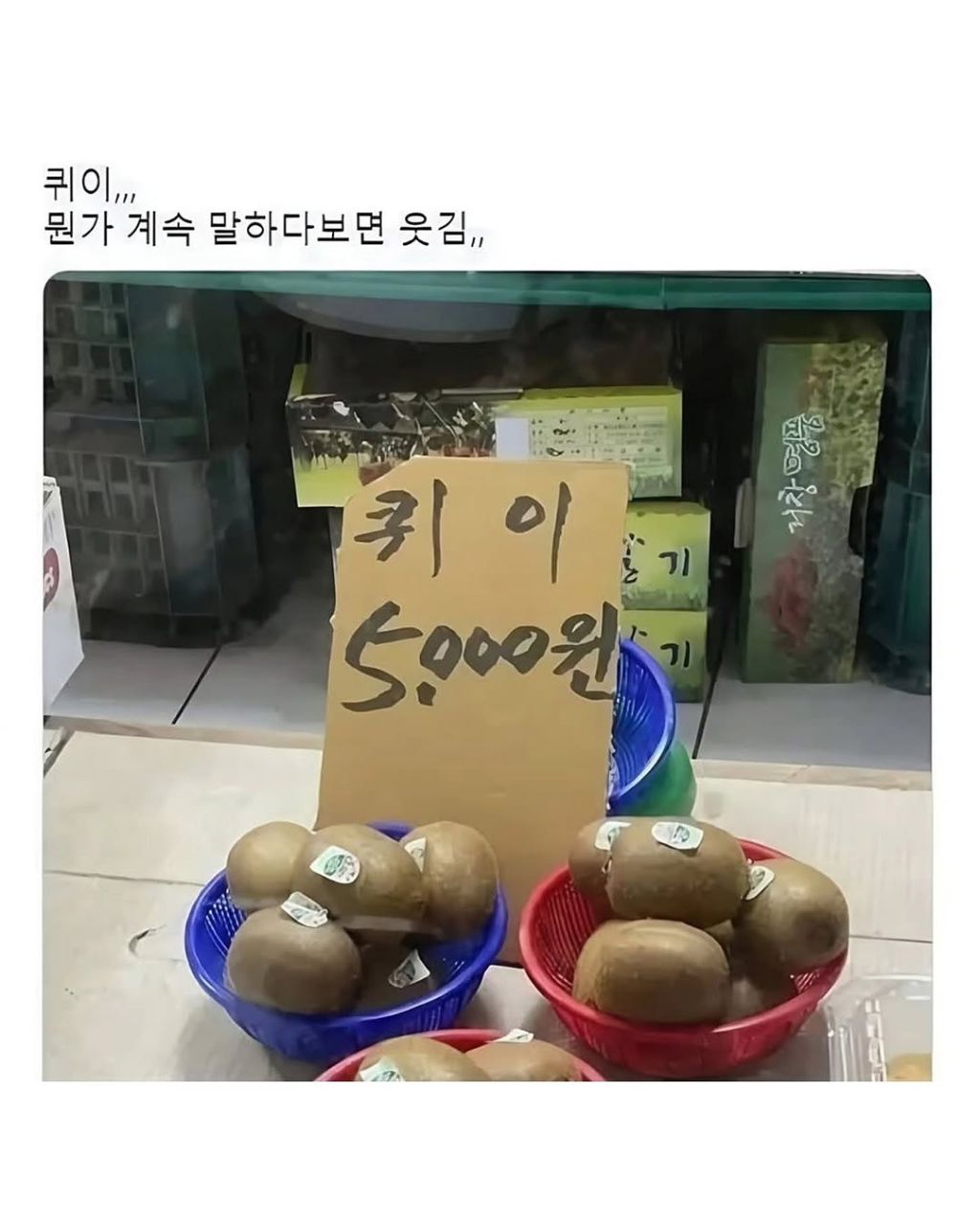 없는게-없는-시골장-2-이미지