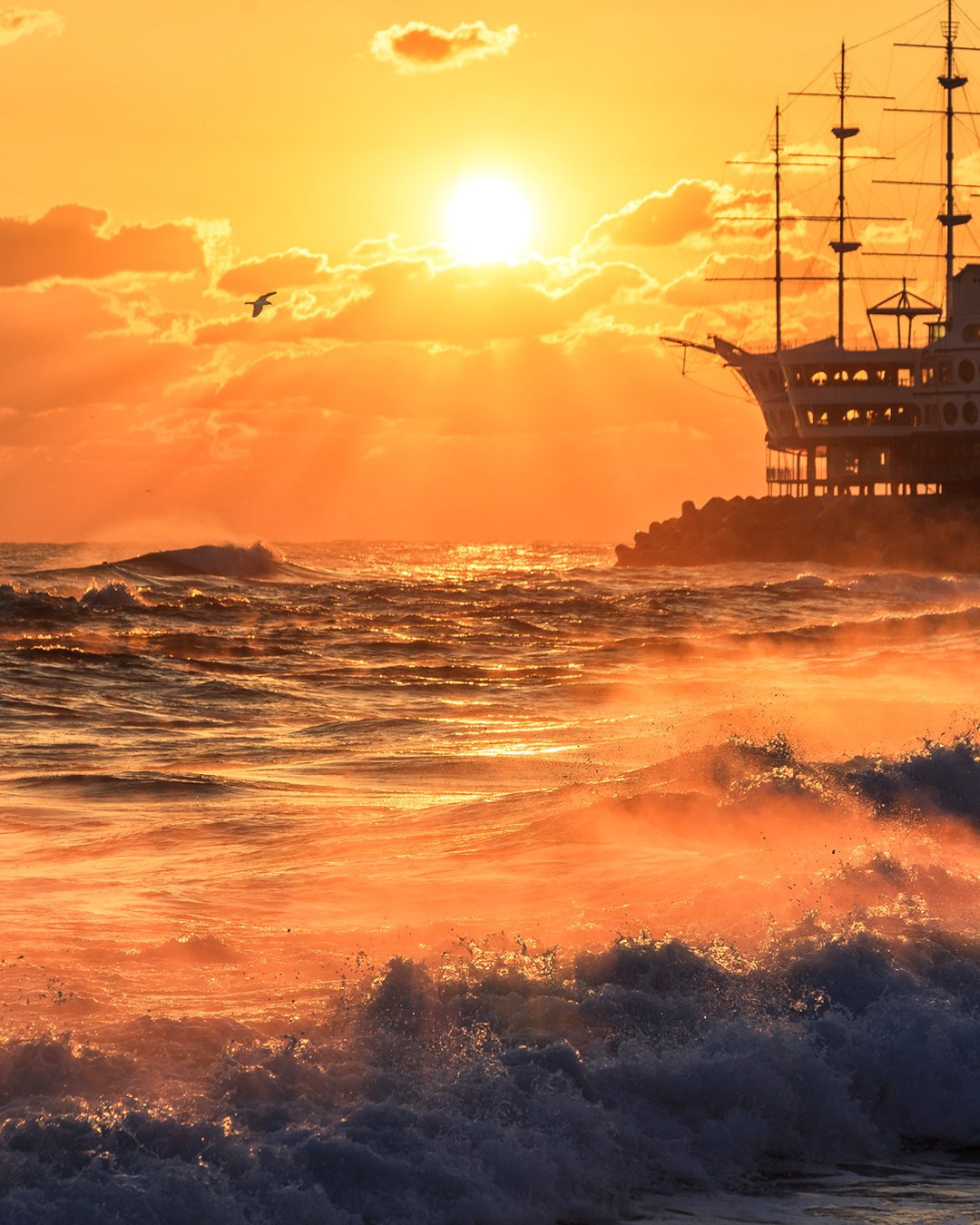 이-계정-운영자님은-진짜-직업-잘-고르신-거-같음-한국에-이런-데가-있다고-짤을-주머니에서-마구-꺼냄-49-이미지