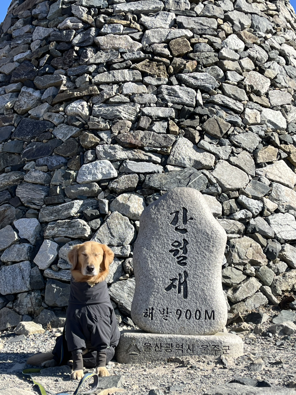 울강쥐-등산천재야-(+-산-추가!)-28-이미지