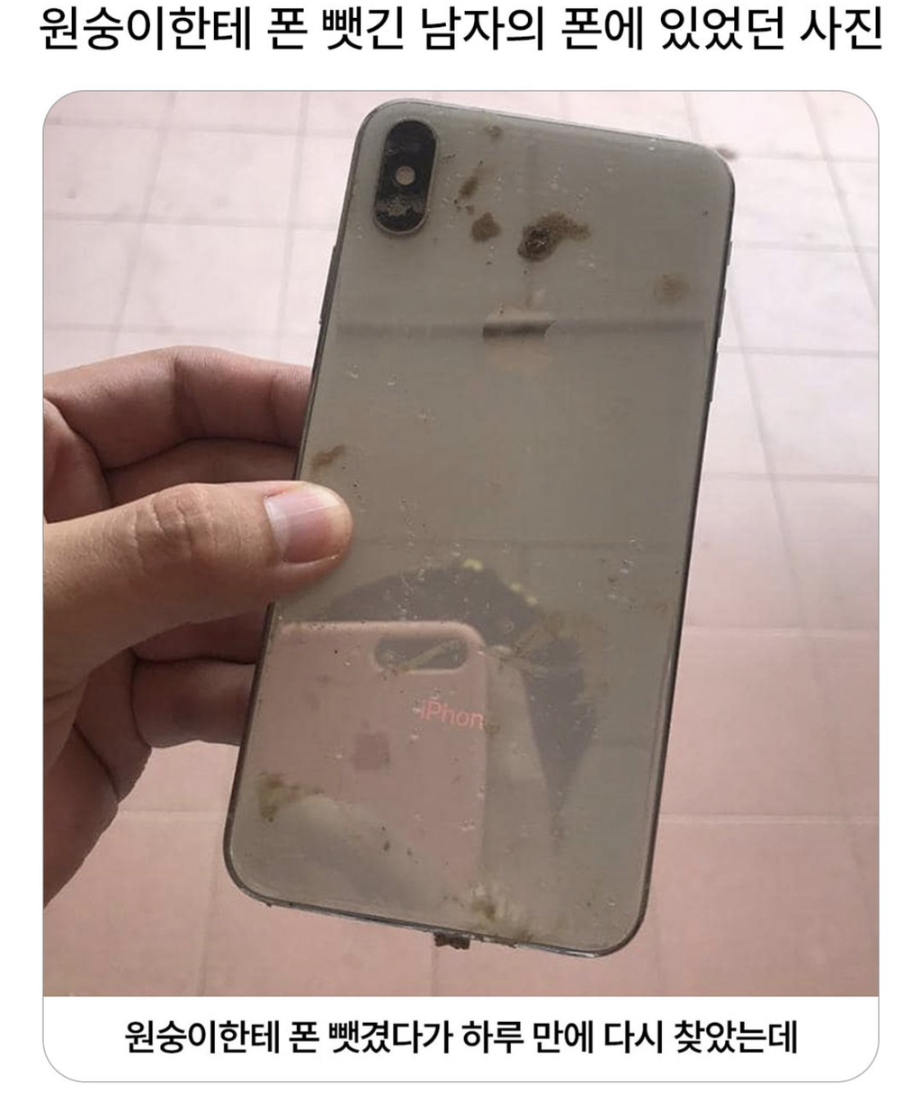 원숭이한테-폰-뺏긴-남자의-폰에-찍힌-사진들.jpg-1-이미지