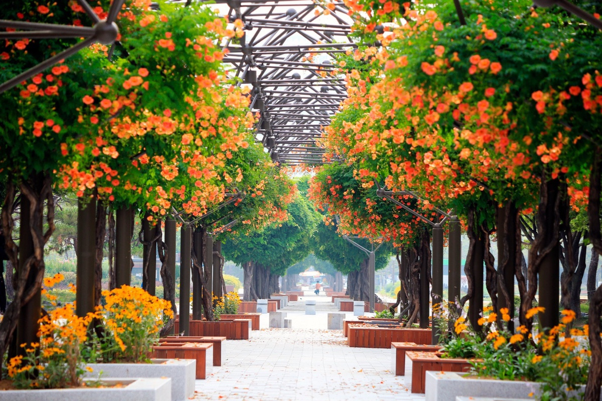 이-계정-운영자님은-진짜-직업-잘-고르신-거-같음-한국에-이런-데가-있다고-짤을-주머니에서-마구-꺼냄-4-이미지