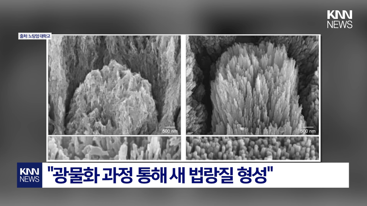 이과-형들-근황.jpg-2-이미지