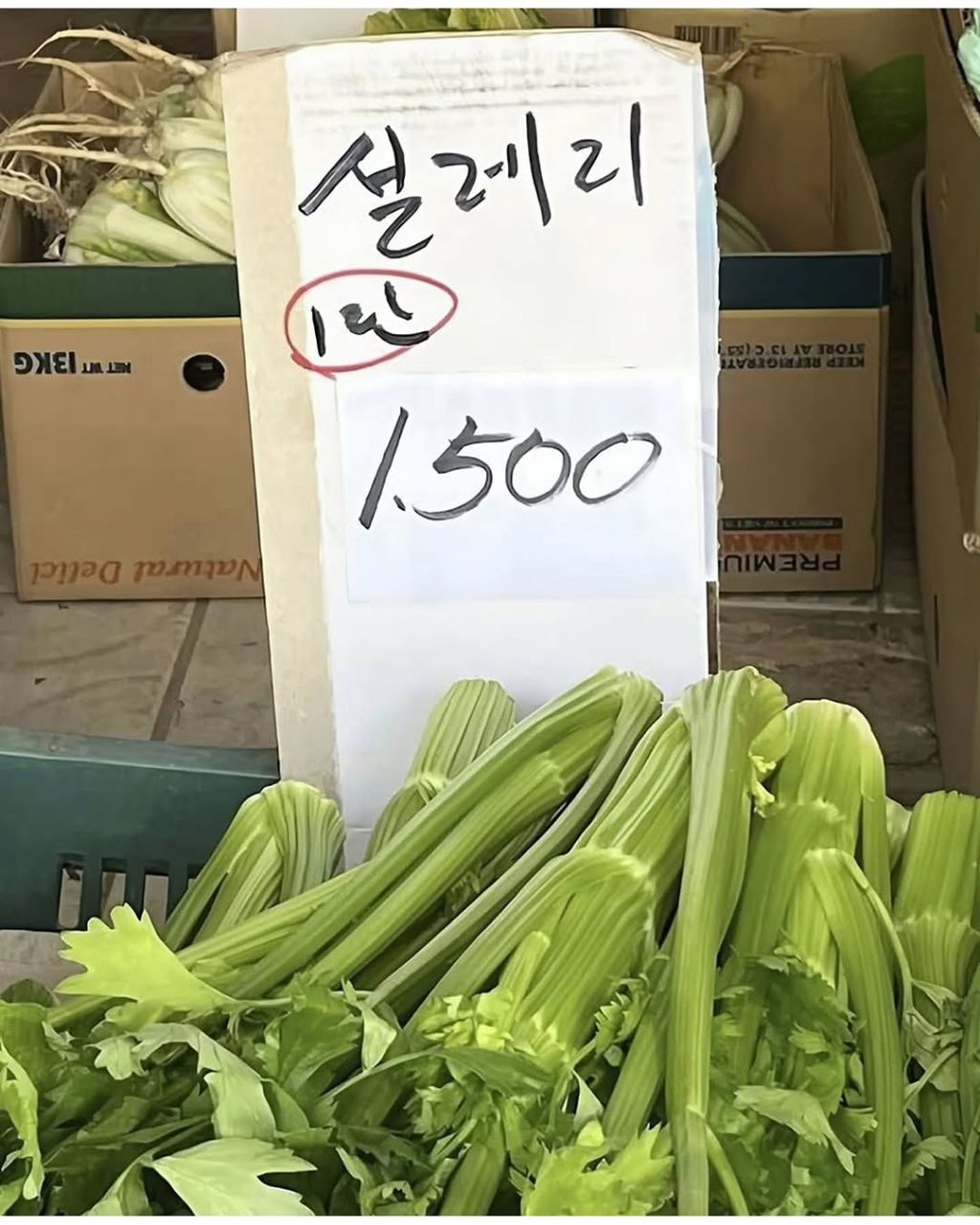 없는게-없는-시골장-7-이미지