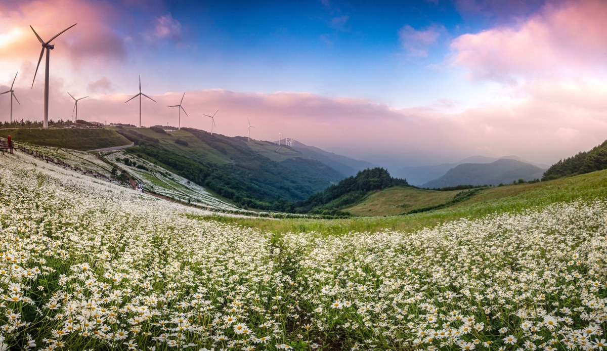 이-계정-운영자님은-진짜-직업-잘-고르신-거-같음-한국에-이런-데가-있다고-짤을-주머니에서-마구-꺼냄-19-이미지