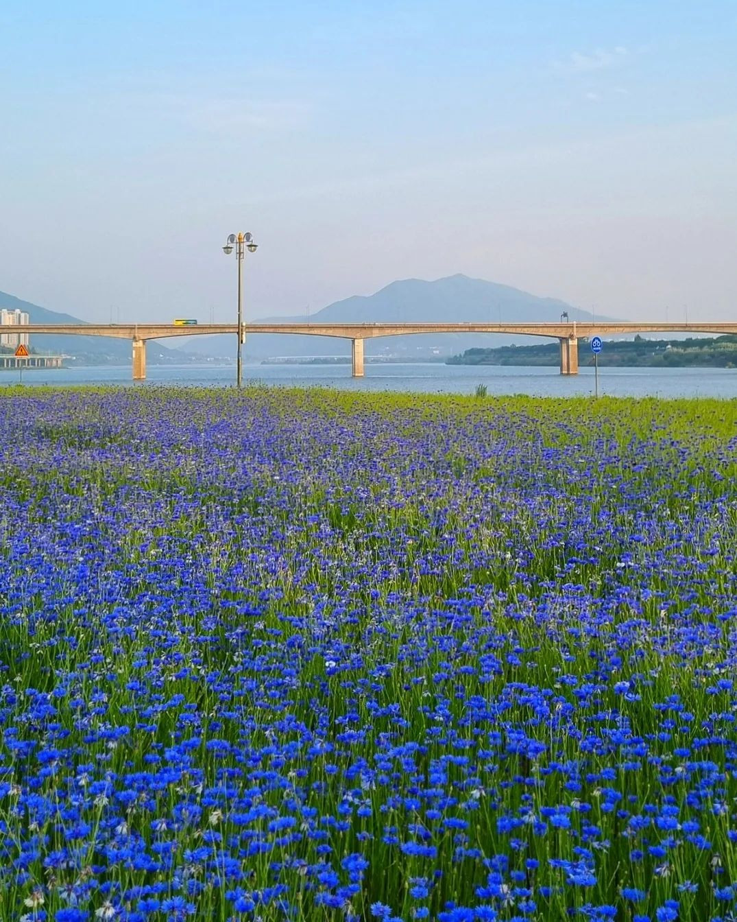 이-계정-운영자님은-진짜-직업-잘-고르신-거-같음-한국에-이런-데가-있다고-짤을-주머니에서-마구-꺼냄-16-이미지