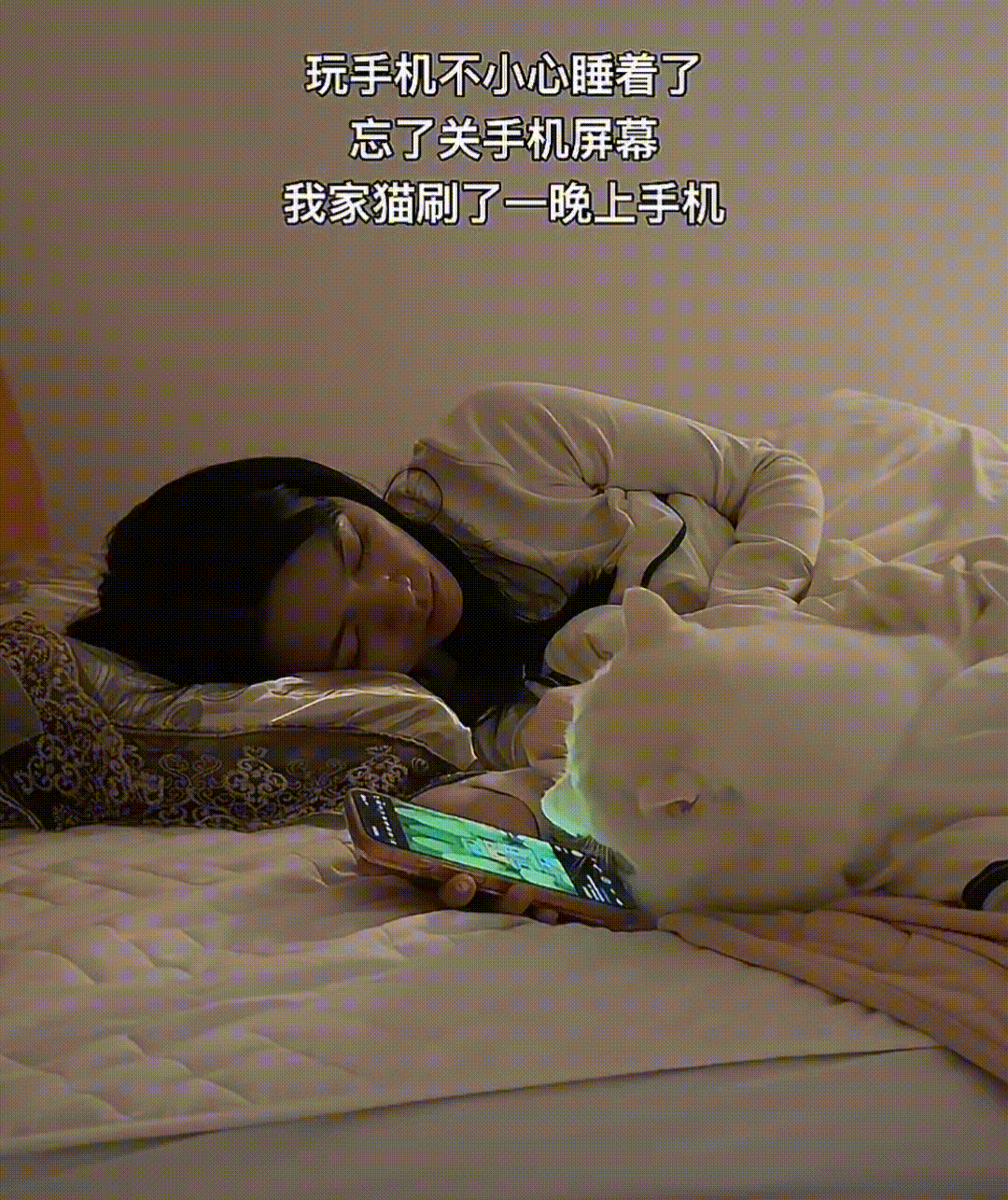 판사님-우리집-고양이가-좋아요-눌렀습니다-0-이미지