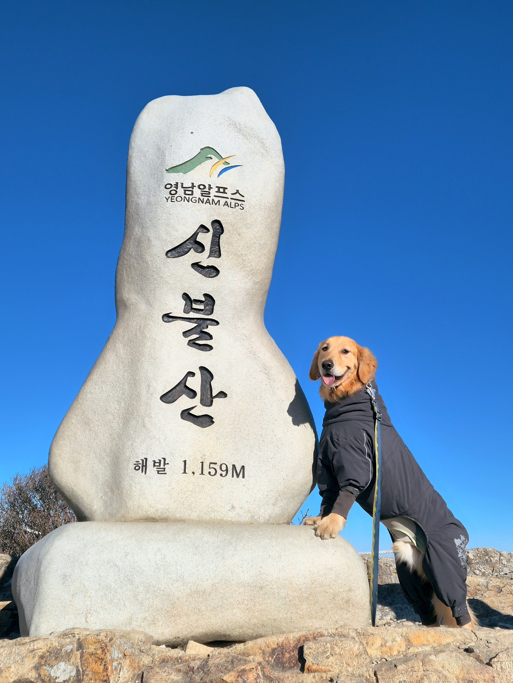 울강쥐-등산천재야-(+-산-추가!)-27-이미지