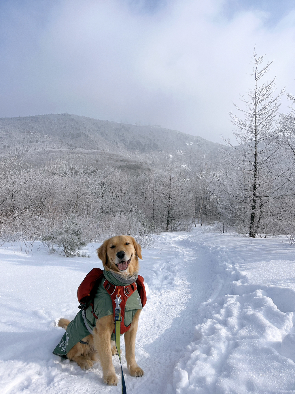 울강쥐-등산천재야-(+-산-추가!)-30-이미지