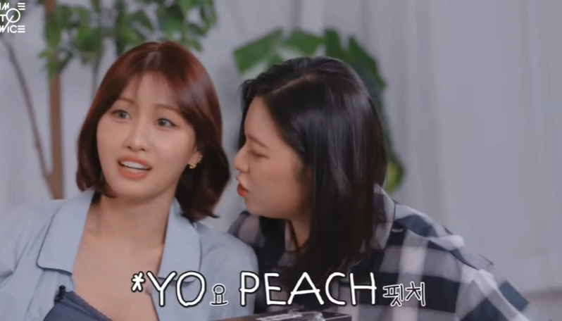 예명으로-피치를-하고-싶다는-트와이스-모모.jpg-4-이미지