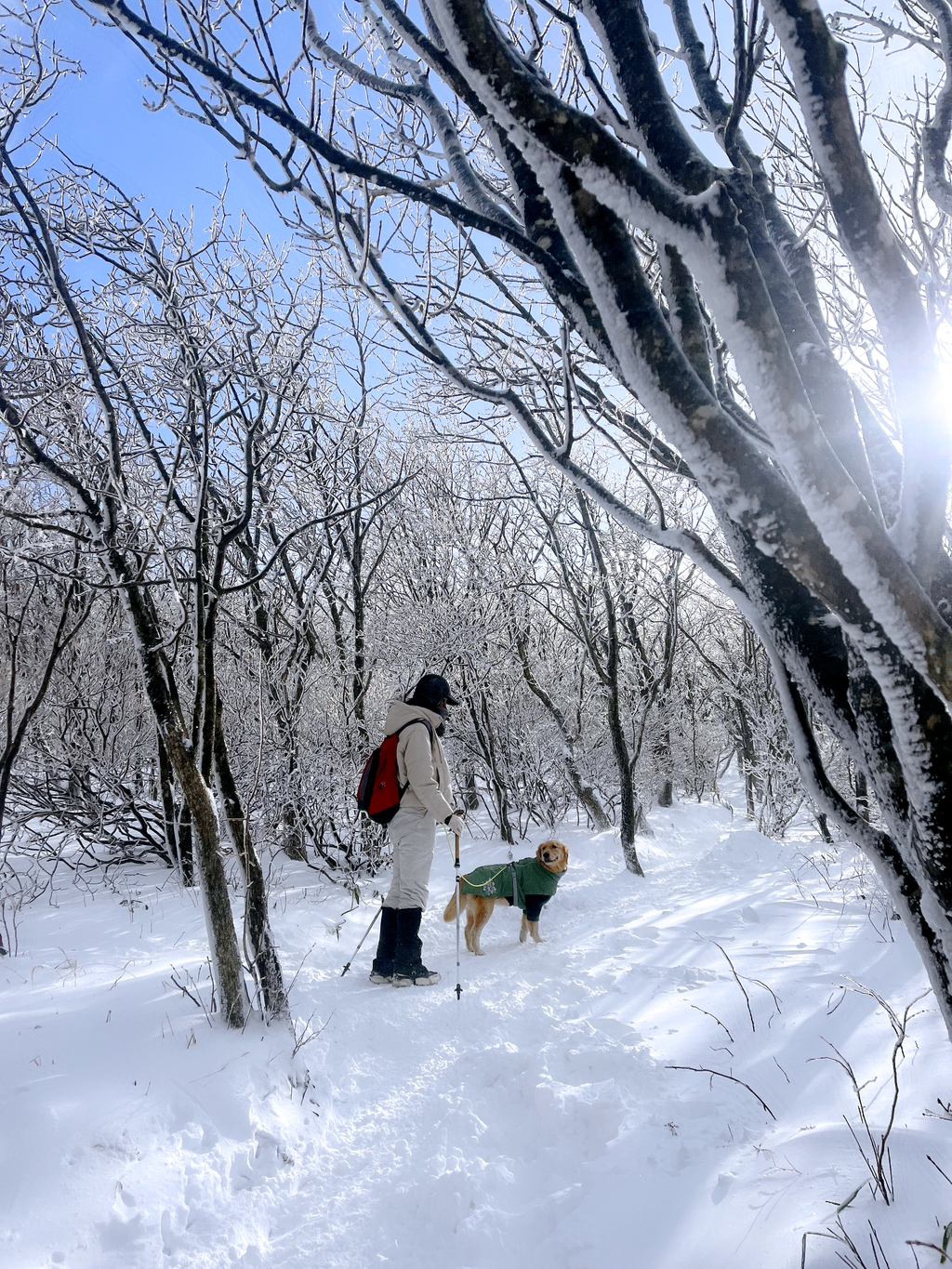 울강쥐-등산천재야-(+-산-추가!)-4-이미지