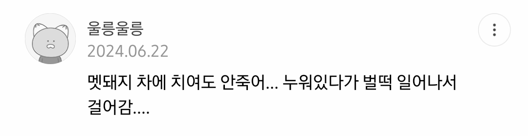 등산하다가-새끼-멧돼지-발견함;;-5-이미지