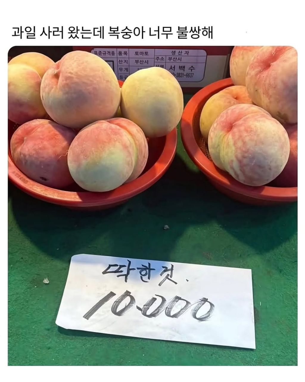 없는게-없는-시골장-11-이미지