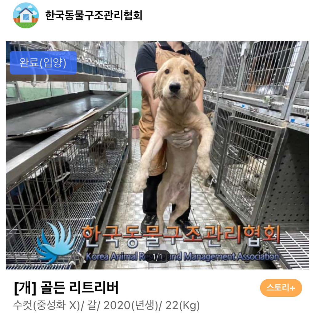 울강쥐-등산천재야-(+-산-추가!)-31-이미지