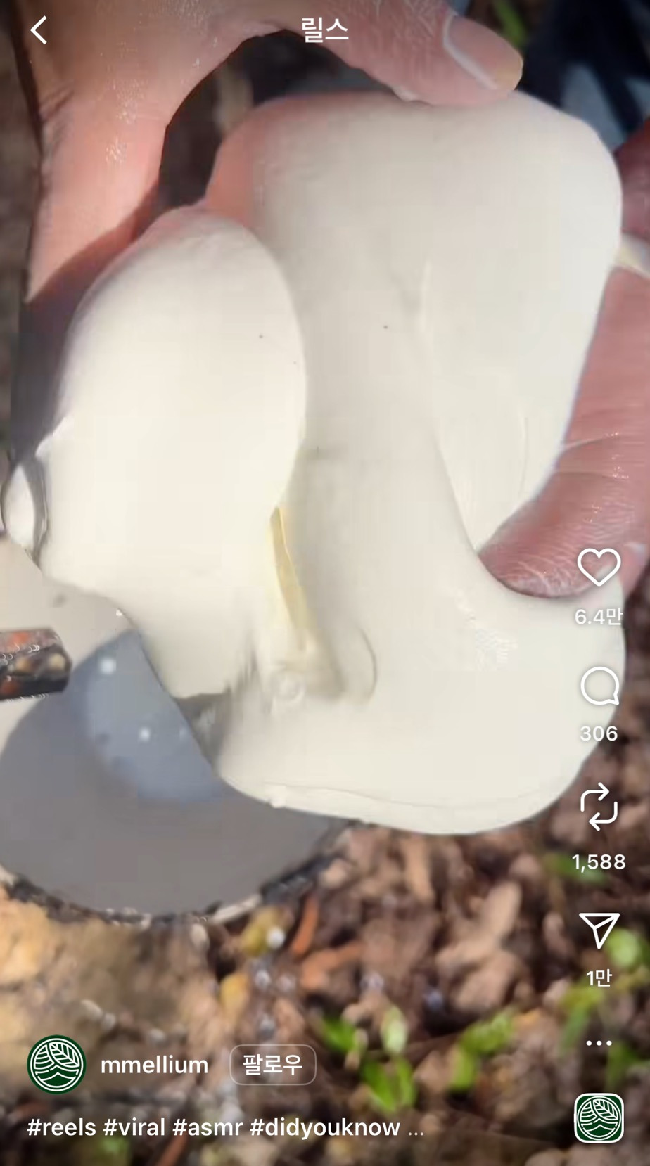 고무짜는-영상에-한국인-품평-개웃김-ㅋㅋㅋㅋㅋㅋ-0-이미지