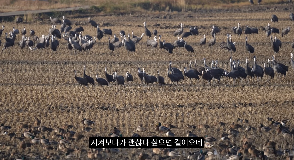 좋은-일을-해서-축복-받은-듯한-도시.jpg-8-이미지