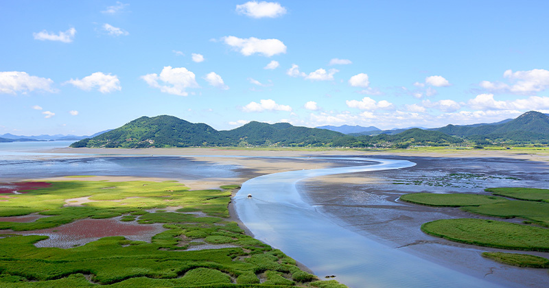 좋은-일을-해서-축복-받은-듯한-도시.jpg-13-이미지