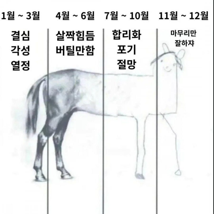 올-한-해-정리.jpg-0-이미지
