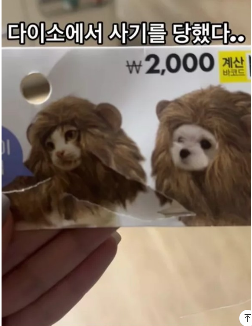 다이소-사기-당한-사람-0-이미지