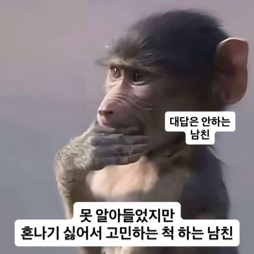 남친-특-3-이미지