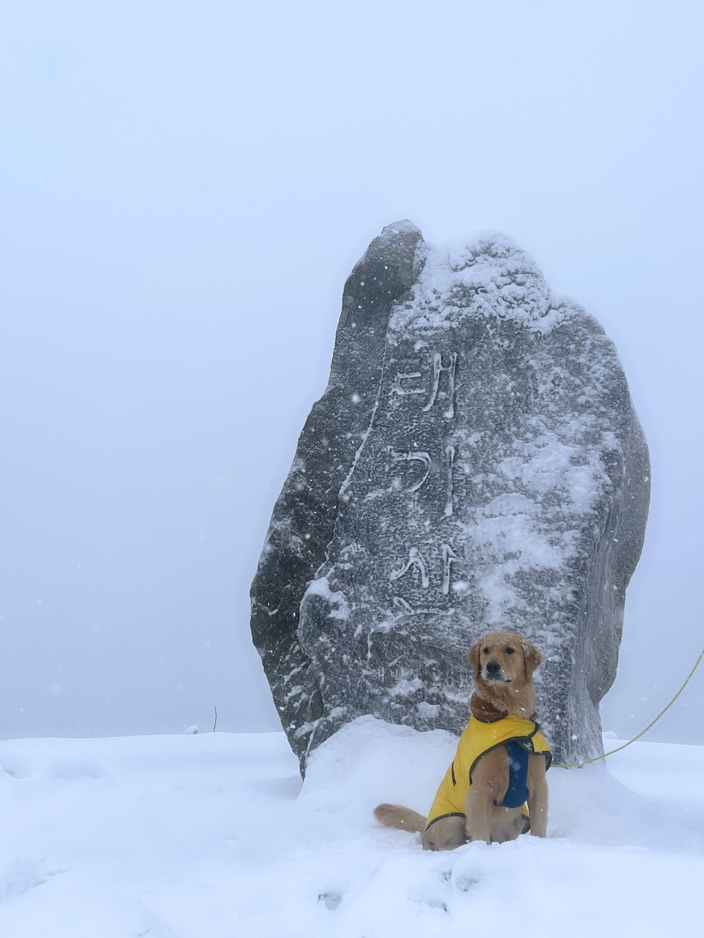 울강쥐-등산천재야-(+-산-추가!)-2-이미지