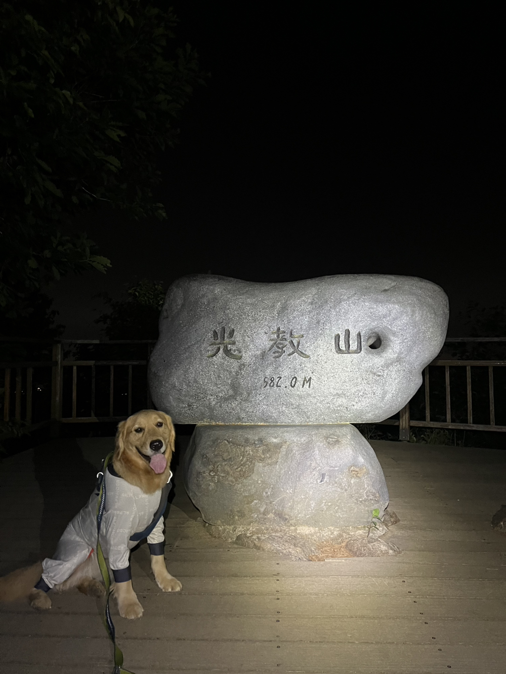 울강쥐-등산천재야-(+-산-추가!)-23-이미지