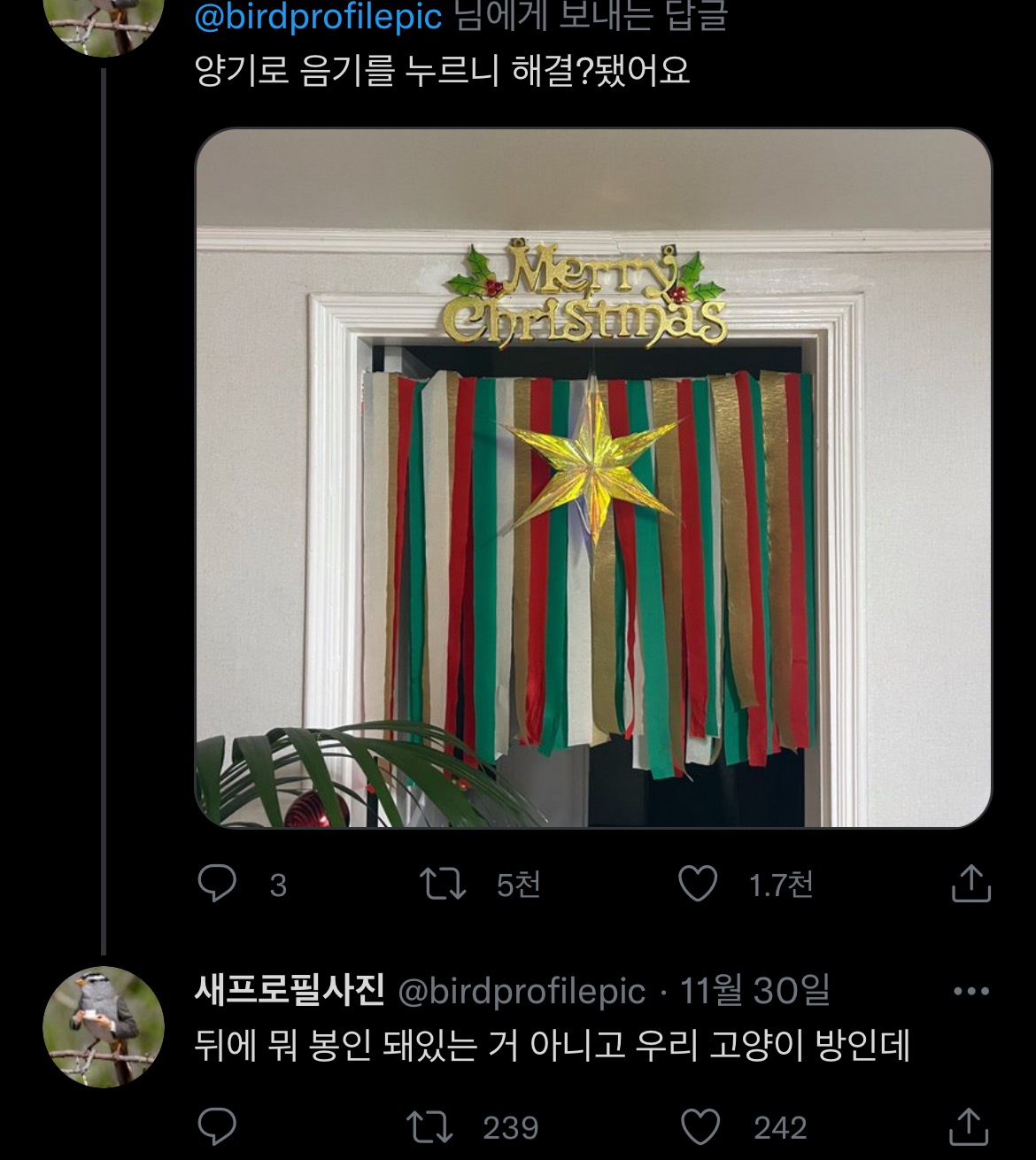 아니-ㅜ-직접-크리스마스-장식-만들었는데...twt-2-이미지