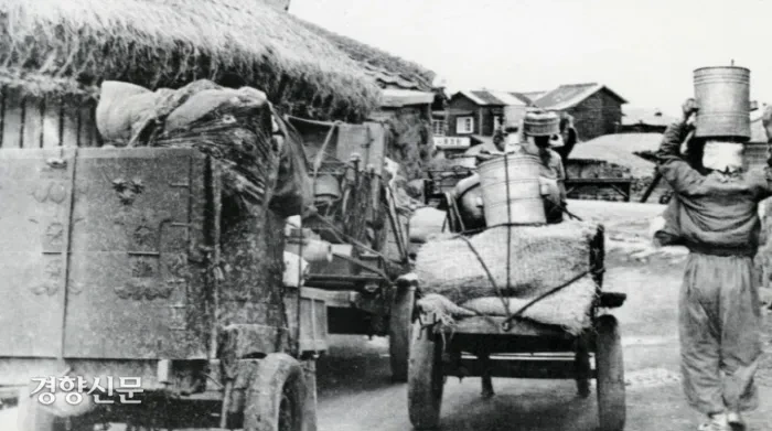 제주도에만-있는-독특한-이사-문화-1-이미지