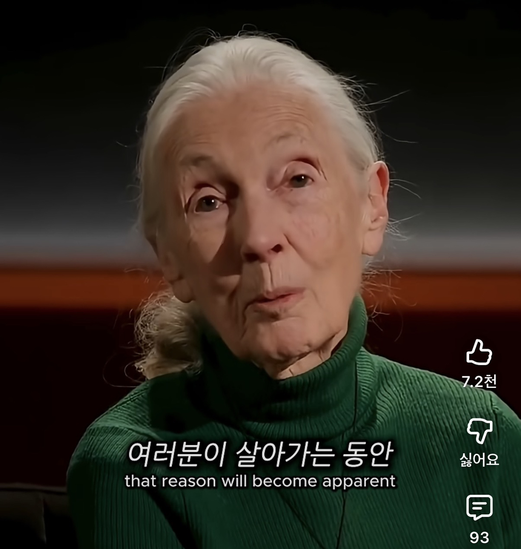 당신의-삶은-여전히-소중하다-9-이미지