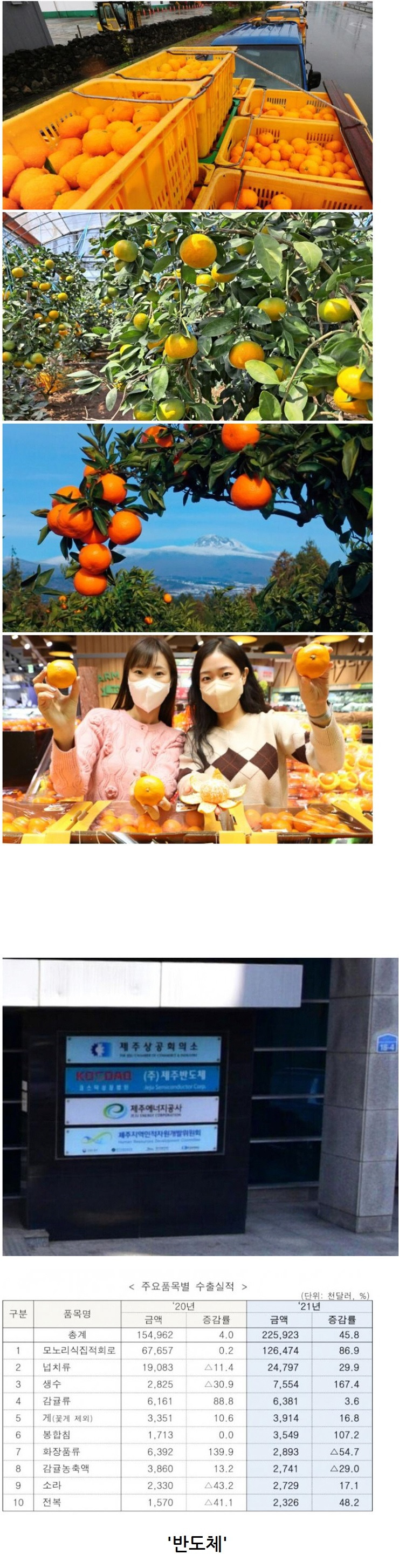 제주도-전체-수출품목-1위-0-이미지