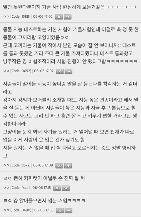 고양이-지능이-2~3세-아이랑-비슷하다는것도-편견이라더라-3-이미지