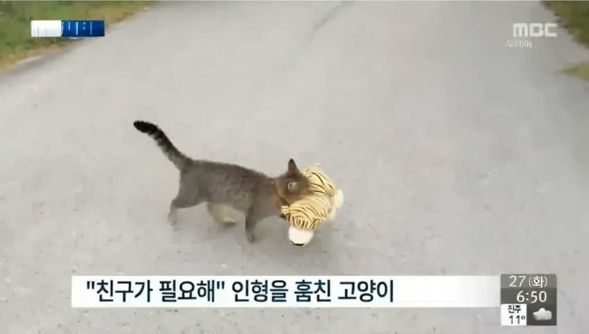 지상렬이-충격먹은-레전드-문신남-0-이미지