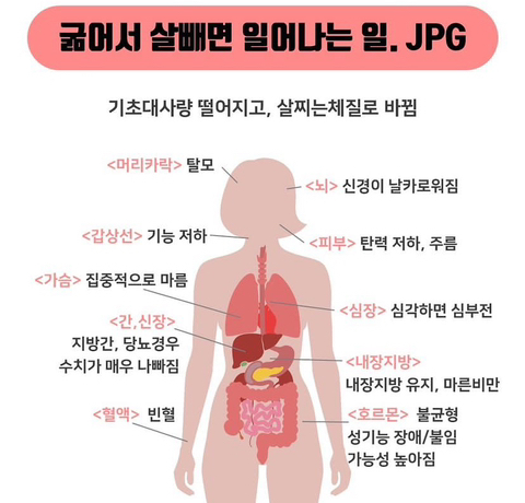 굶어서-살빼면-일어나는-일-0-이미지