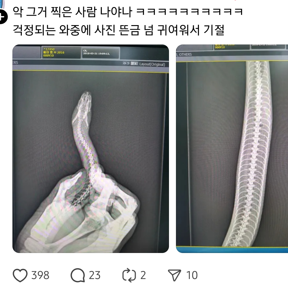 수의사인데-애완뱀을-데려오셨더라고-2-이미지