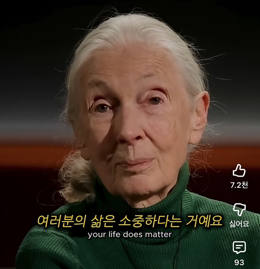 당신의-삶은-여전히-소중하다-13-이미지